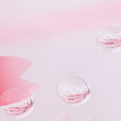 Flower Print Umbrella