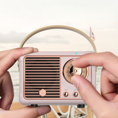 HM11 Portable Wireless Speaker