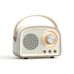 DW21 Retro Bluetooth Speaker