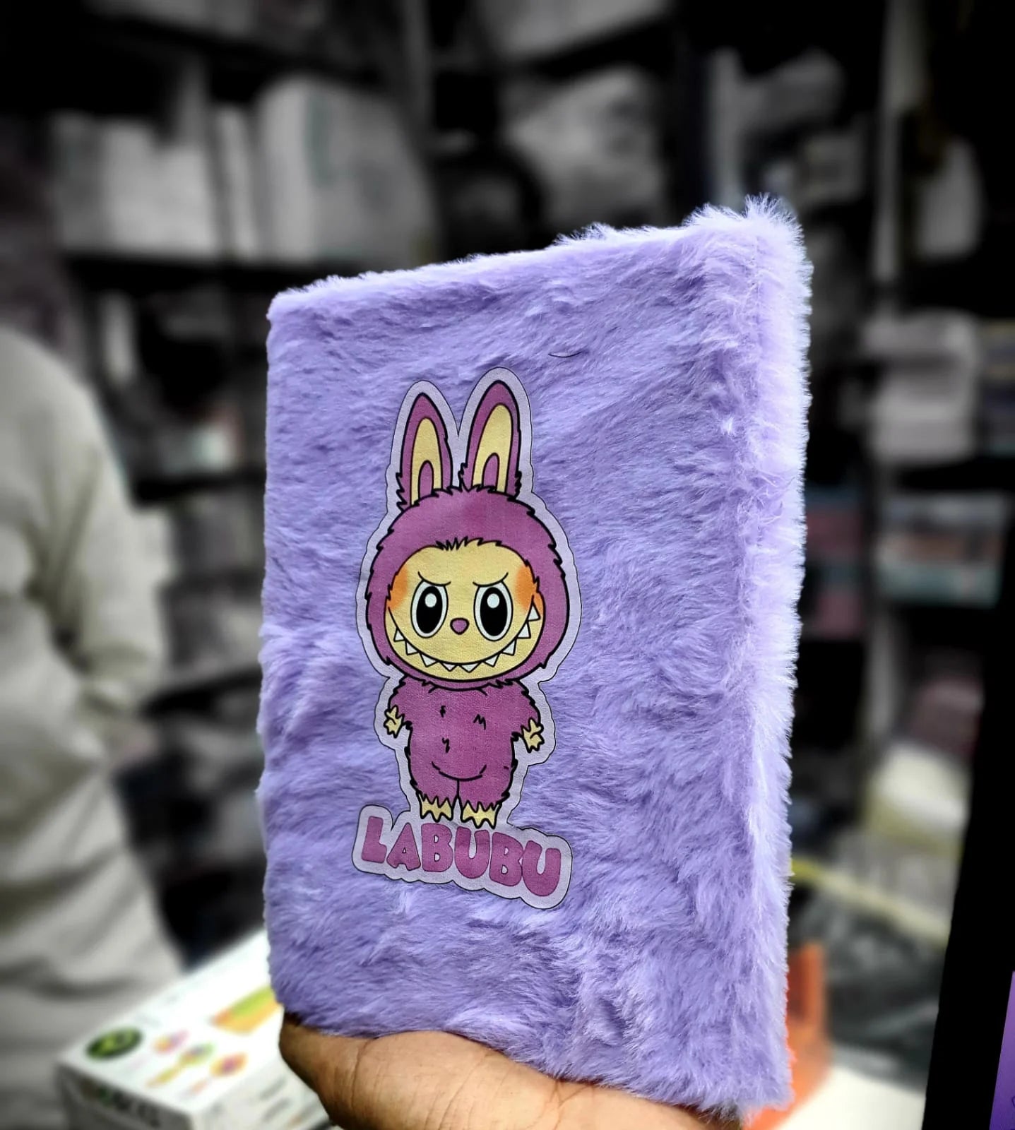 Labubu Fur Diary